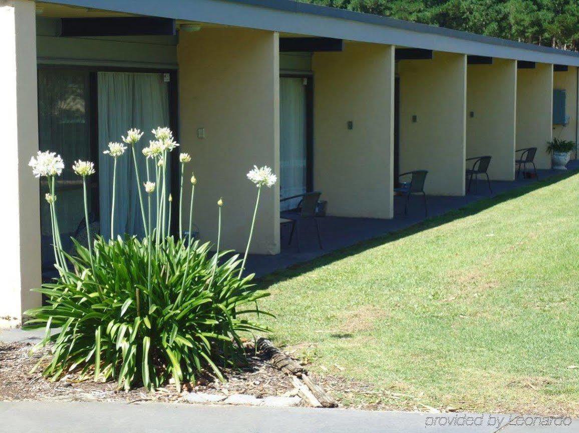 William Macintosh Motor Lodge Naracoorte Kültér fotó